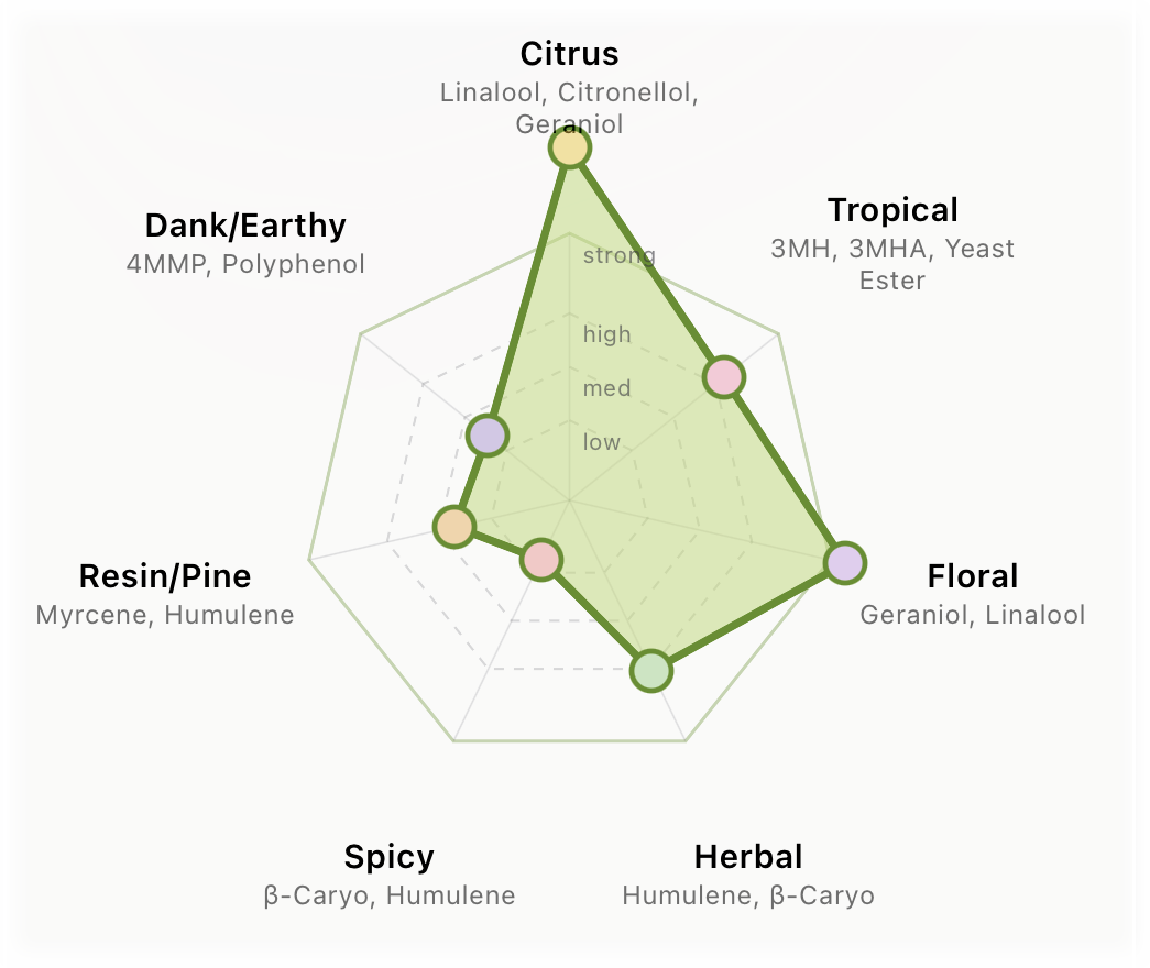 The Hoparoma aroma forecast radar from a real device, plotting a recipe across seven aroma axes — Citrus, Tropical, Floral, Herbal, Spicy, Resin/Pine and Dank/Earthy — with the predicted profile drawn as a filled green polygon